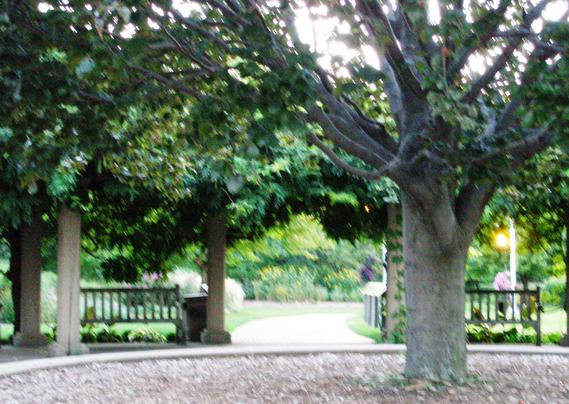 MSU gardens